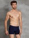 Мужские трусы-боксеры +size Doreanse Cotton Premium Doreanse