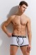 Мужские трусы-боксеры Cotton Sport Trunk Gauvine
