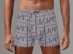Мужские трусы-боксеры с принтом-рогожкой Gentlemen