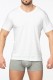Хлопковая мужская футболка с коротким рукавом Sergio Dallini