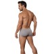 Серые трусы-хипсы Destellos Trunks Clever Masculine Underwear