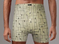 Мужские трусы plus size с принтом в виде лабиринта Gentlemen