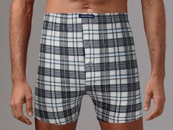 Хлопковые мужские трусы-боксеры в клетку Gentlemen