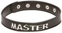 Ошейник X-Play Master Collar